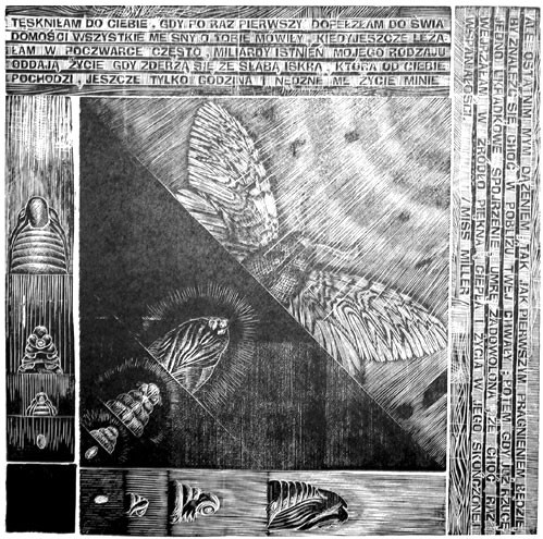 Przemiana 1 | woodcut